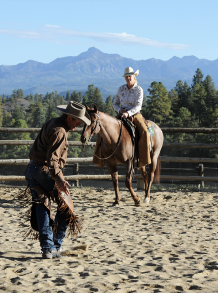 Experienced Horsemanship Coach